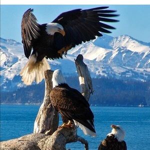 Meet your Posher, Ray